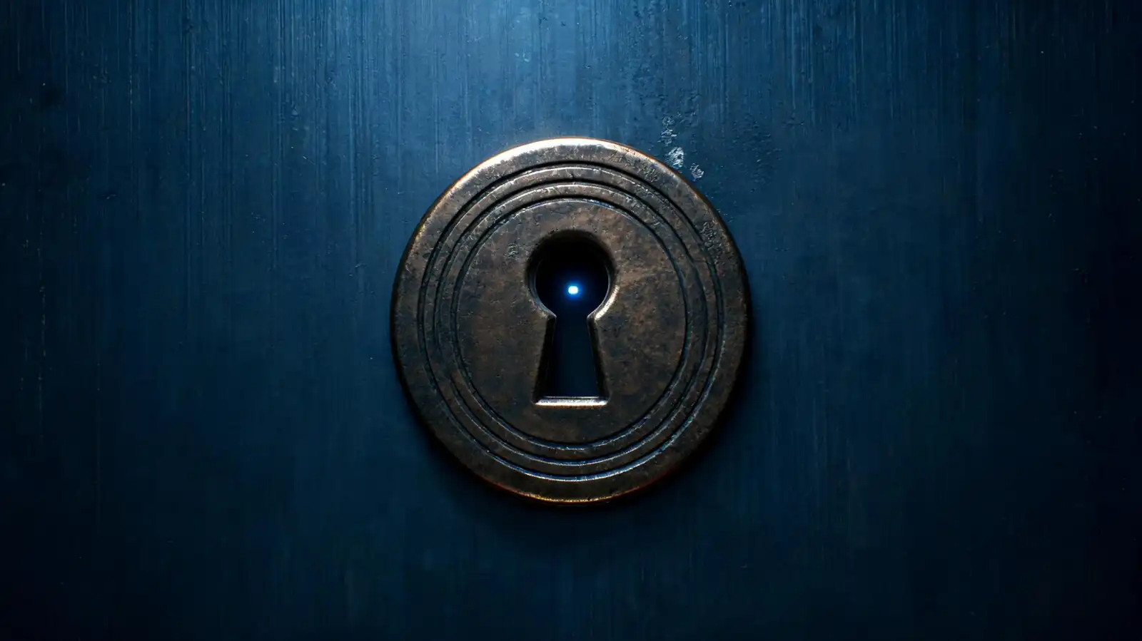 Vaiz Security: Access Control and Data Protection